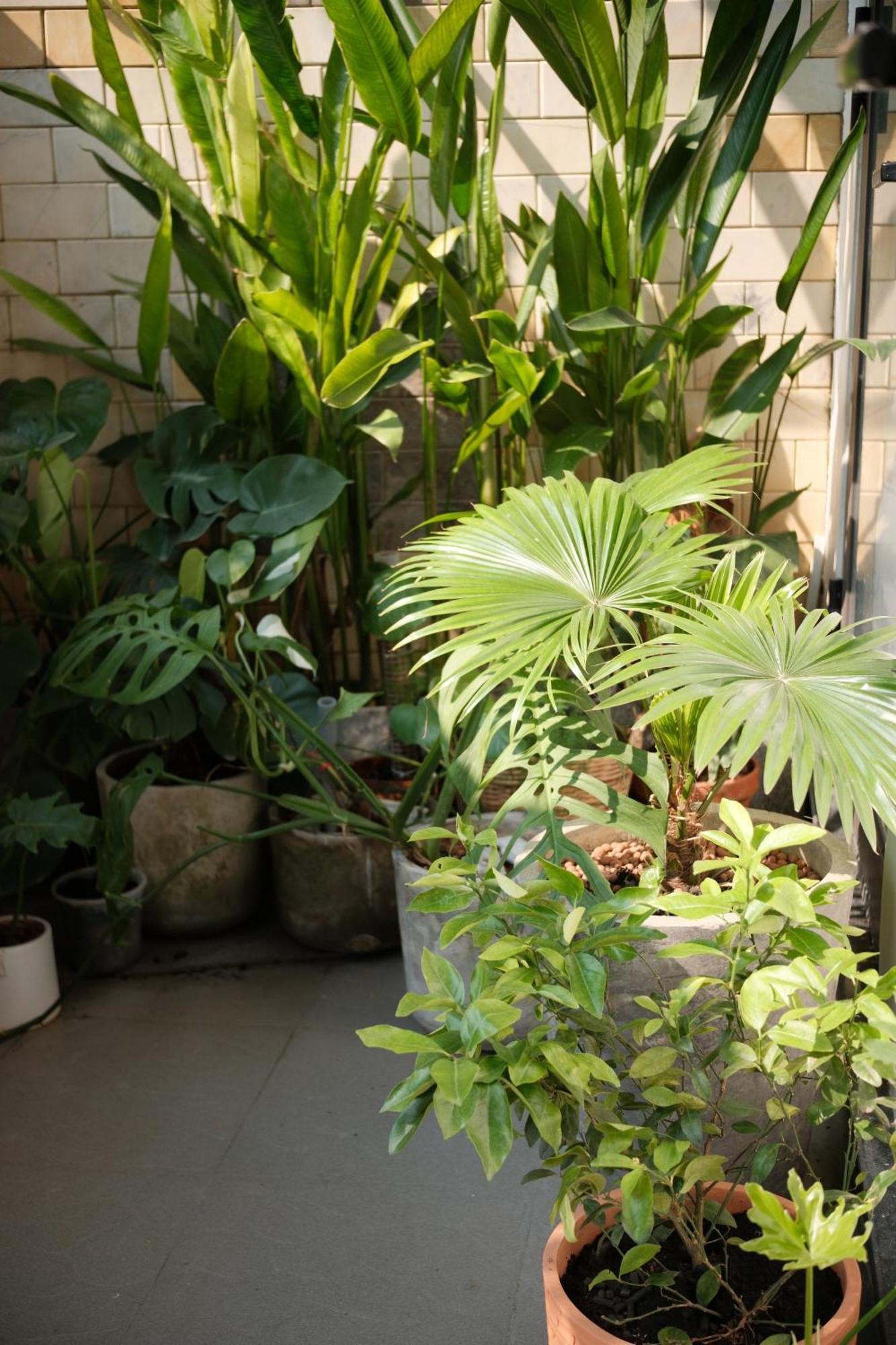 Glory Hue Homestay Bagian luar foto